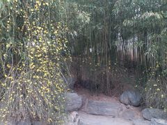 -西安青龙寺遗址景区