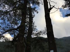 -冕宁灵山寺