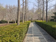 -燕郊植物园