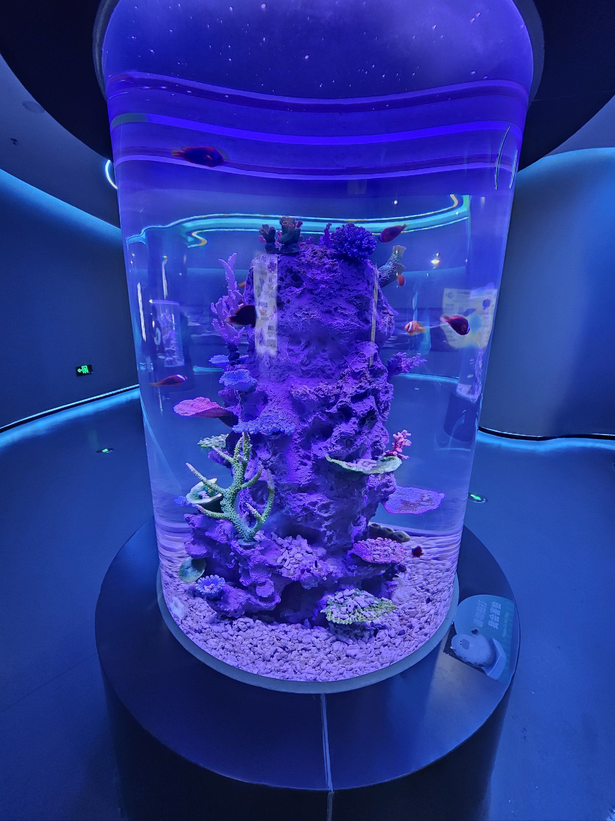 家门口的海洋馆