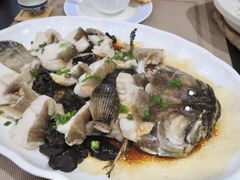老虎斑-东江海鲜酒家(艺都分店)