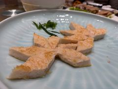 -丁老爷子苏香圆