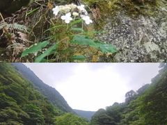 -西岭雪山大飞水景区