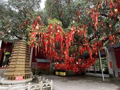 -国恩寺
