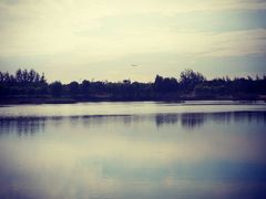 -东郊湿地公园