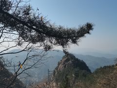 -罗田天堂寨风景区