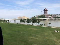 -野鸽子咖啡(中航店)