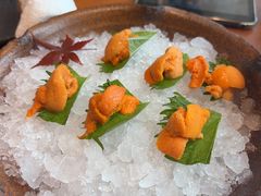 -月龍吟(朝龙汇店)