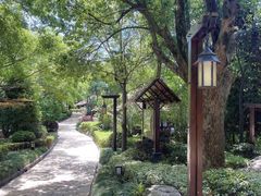 -天目湖涵田半山温泉