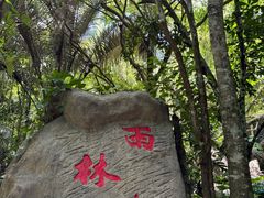 -呀诺达热带雨林