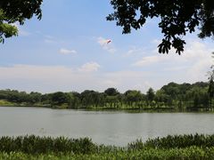 -东莞植物园