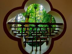 -深圳仙湖植物园