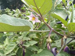 -陶祖圣境风景区