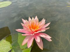 -白鹭湾湿地公园
