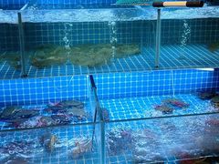 -李记潮汕砂锅粥(营福路店)
