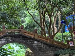 -火炉山森林公园