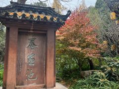 -安乐老桥代耳朵(成都崇州店)