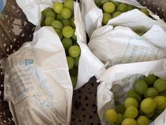 -马陆小张葡萄园农家乐