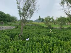 -西部长青自然儿童乐园