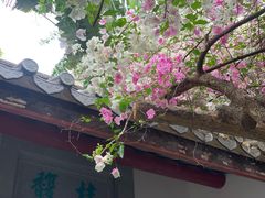 -深圳国际园林花卉博览园