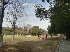 -东湖落雁景区