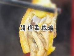 -禄婶鸡煲·打边炉