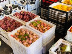 -西郊国际农产品交易中心