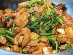 -九道菜有鸡鱼头(石鼓路店)