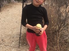 -蟠龙山长城景区