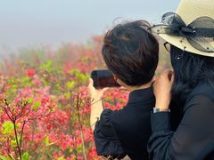 -瑞安圣井山景区
