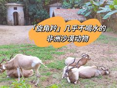 -广州动物园