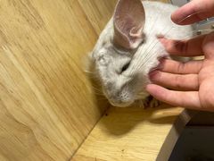 -龙猫仔乐园(惠福东路店)