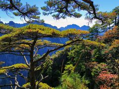 -黄山风景区