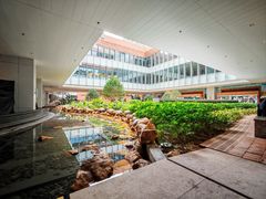 -香港大学