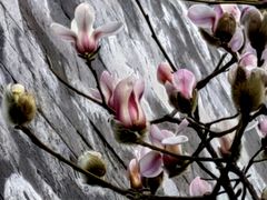 -东华门大街小区