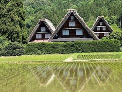 -白川乡与五箇山的合掌构造村落