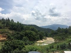 -天强农家菜馆
