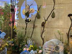 -天虹购物中心(石路店)