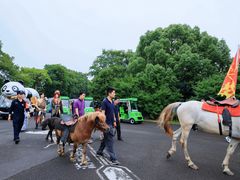 -宁波野生动物园