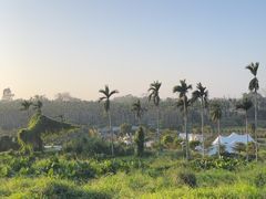 -侯臣咖啡文化村