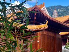 -深圳仙湖植物园