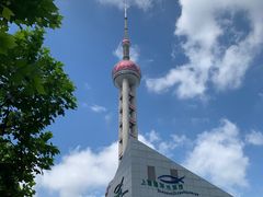 -上海海洋水族馆