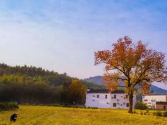 -塔川景区