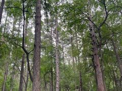-长春净月潭风景名胜区