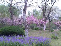 花海-堤角公园