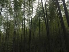 -南山风景名胜区