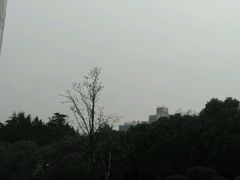 -宋庆龄陵园