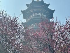 -洋湖国家湿地公园