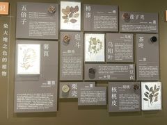 -中国湿地博物馆