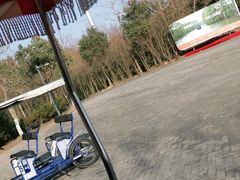 -上海海湾国家森林公园